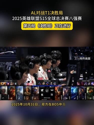 了球迷与
