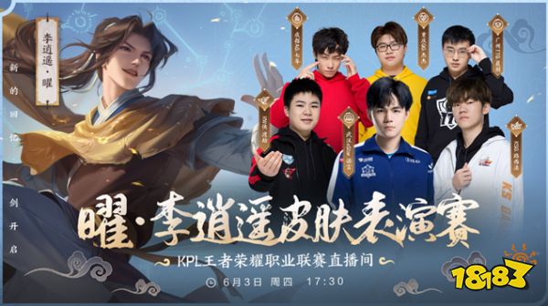 职业化进程